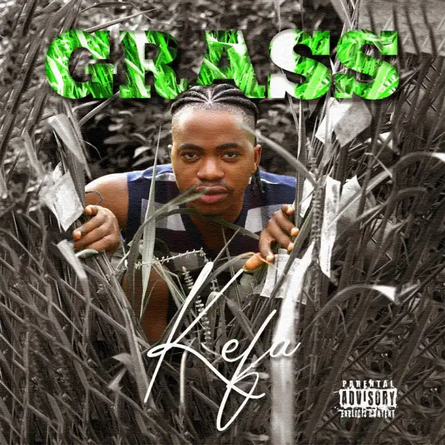 Kefa grass